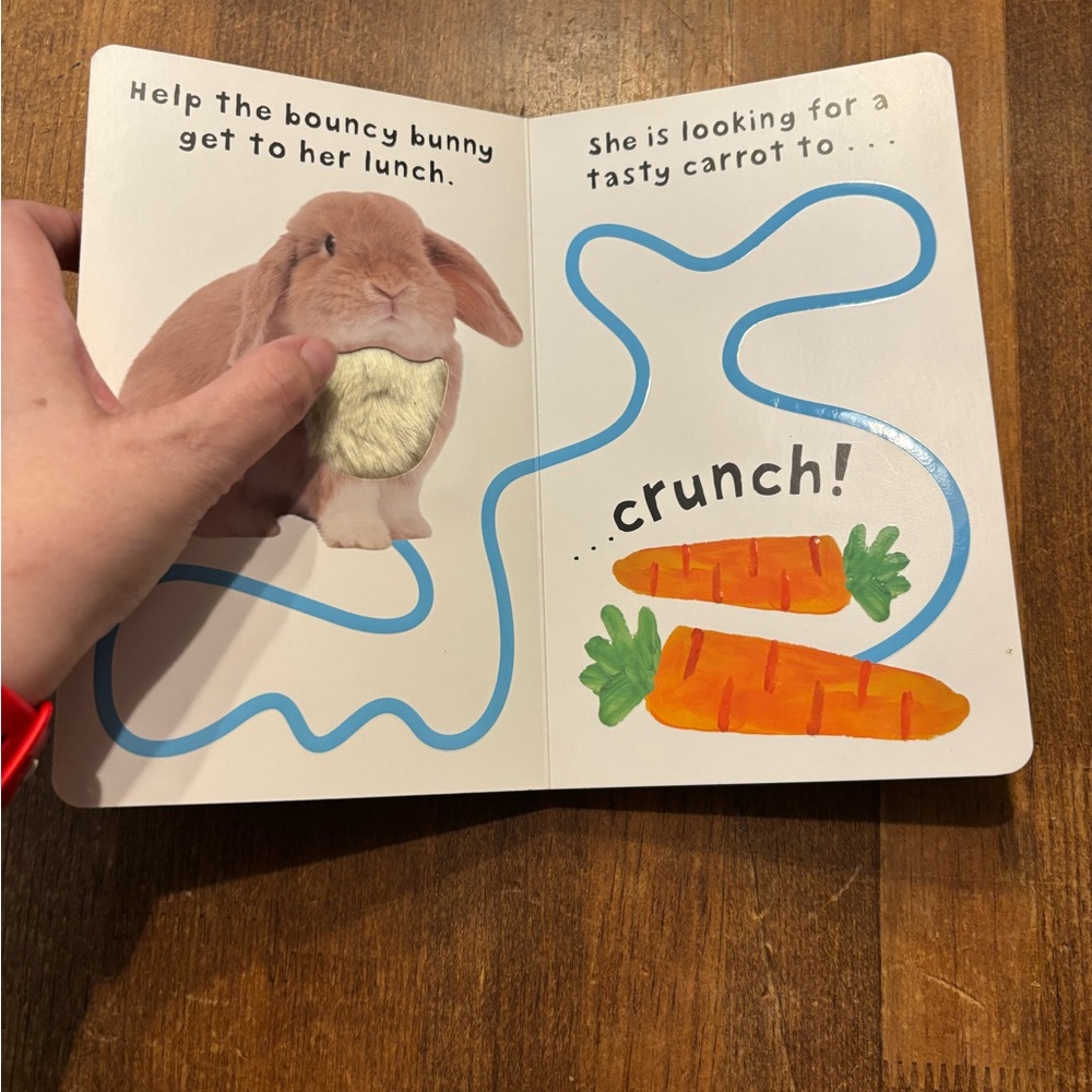 Spring-time Baby Books - Picture 7 of 9